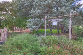 The Willows Casa Grande - Four Minutes to Downtown! - 6