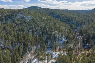 Grizzly Bear Creek Cabin - 4