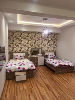 Luxurious apartment in zamalek - 6