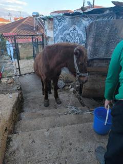 Taku Villa Wonderful view of Lake Ohrid - 7