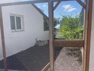 Nature Escape Tenerife - 9