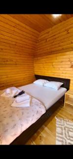 Căsuțele cu Tihnă -Colibita - 2