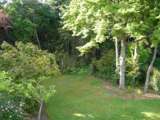 Forest Manor - Geraldine - 2