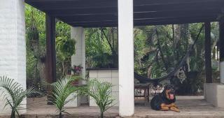 Casa doThor - 0