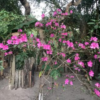 Casa doThor - 2