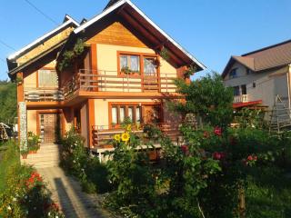 Nopti de Vara Transfăgărășan - Căpăţîneni-Pămînteni - 7