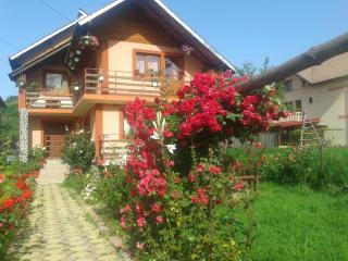 Nopti de Vara Transfăgărășan - Căpăţîneni-Pămînteni - 8
