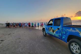 1 Block to Beach - Pool - Up to 6 - Families - 1