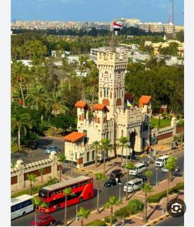 شقه فندقيه فى العجمى بيانكى شاطىء البراديس - 6