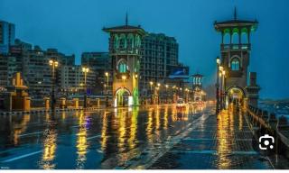 شقه فندقيه فى العجمى بيانكى شاطىء البراديس - 4