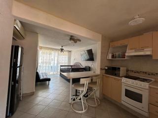 Suite Villas Palmas Diamante - 5