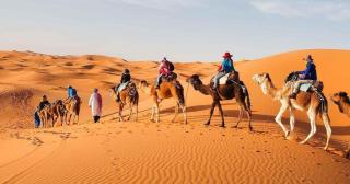 Desert Nomads Camp - 4