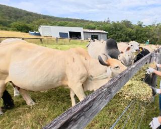 Ayton Farm Stays - 7