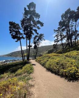 Hermoso Depto Laguna Papudo vista al Mar - 3