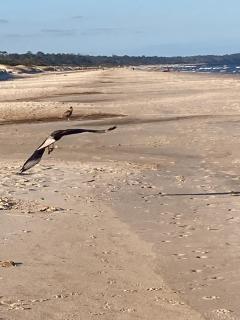 Monoambiente rodeado de Naturaleza - 0