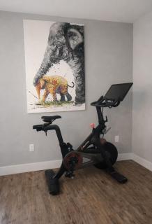 2 BR Apt 15-mins from NYC-MetLife-American Dream - 2