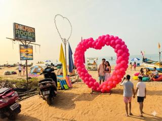 Dolphin beach stay - 9