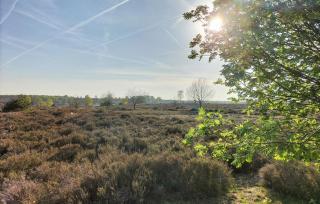 2 Bedroom Awesome Home In Hellendoorn - 3