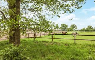 2 Bedroom Awesome Home In Hellendoorn - 1