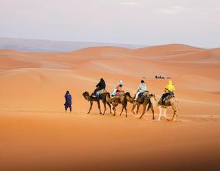 Lantern Luxury Camp - 9