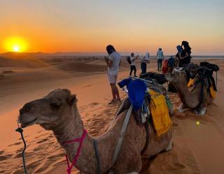 Lantern Luxury Camp - 1