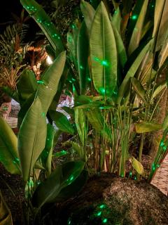 RELAX ECO Life Center-Khao Lak - 8