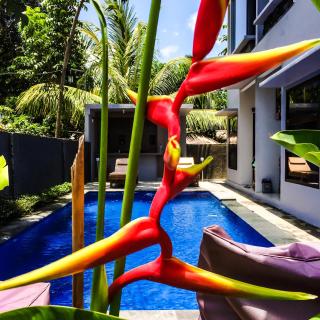 Lazy Inn Kuta Lombok - Kuta Lombok - 9