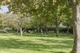 The Linhay Eastleigh - 7