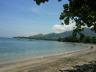 Biorock Homestay & Dive Center Pemuteran - Pemuteran - 7