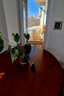 Spacious Apartment near Parliament Square and Old Town - 75 m for 4 Guests - 5