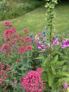 Nostalgic 1960S Idyll - 9