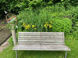 Nostalgic 1960S Idyll - 1