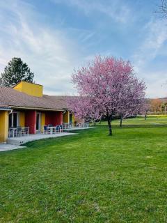 Les mas de Haute-Provence - 9