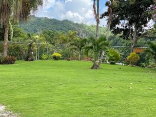 The Cedars Estate Private Luxury Farmhouse Villa with Pool&Mountain &Ocean Views near Ocho Rios - 2