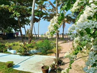 Marari phoenix beach Villa - 1