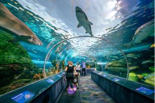 Skyline Suites - Steps to CN Tower Coronation Park TTC - Free Parking - 0