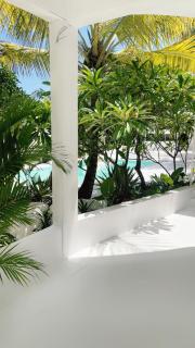 Cocoon Signature - 1