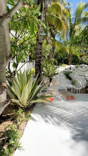 Cocoon Signature - 8