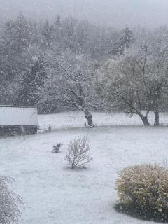 Les deux chambres au dessus de la colline - 6