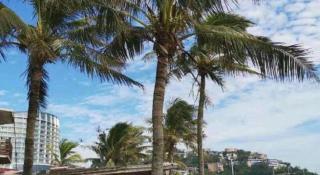 Shenzhen Dameishawan Youtinghui Hotel - 5