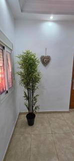 Triana house a 10 min Sevilla y cerca aeropuerto, 5 camas, sofá cama y 2 baños - 4