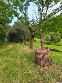 Cilla Country House - 8