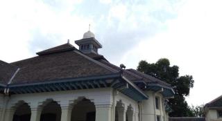 Pineapple Mansion - 1