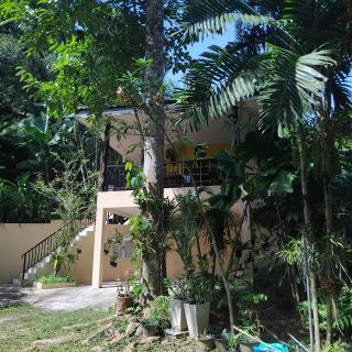 Floresh Freedom Hostel -  - 7