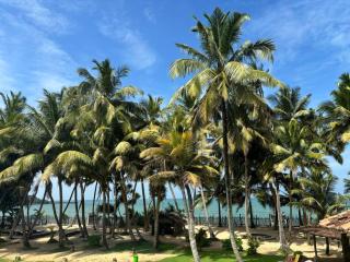 CocoVilla Boutique Resort - 8