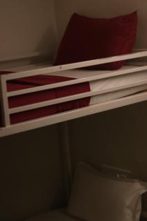 Calathea home varkala beach - 3