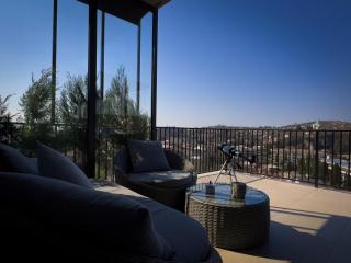 Rioni & Bagrati Panorama - 0