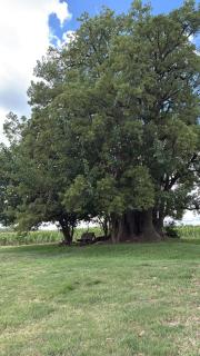 AlmaTierra Eco Finca - 3