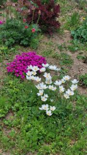 apartmán Monte Lope - 1