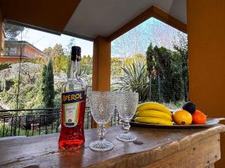 Beautiful apartment with garden - 1